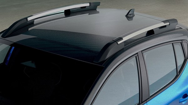 functionnal roof bars